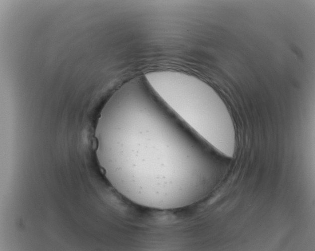 X0000114630424200910201026