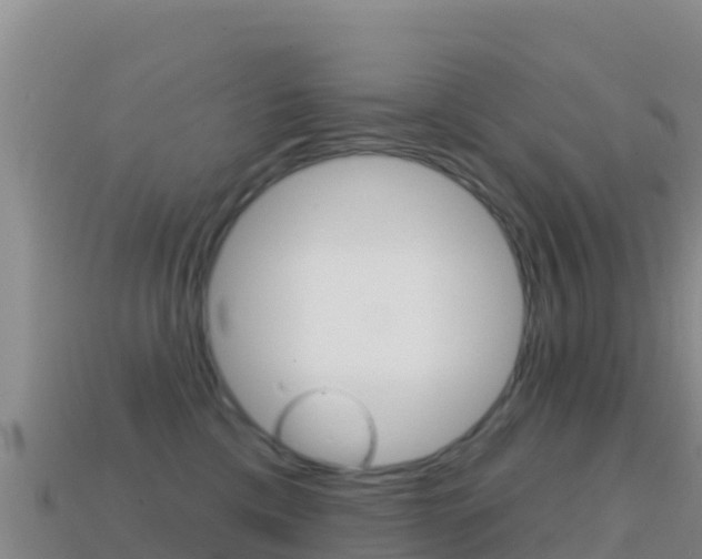 X0000114630425200910201026