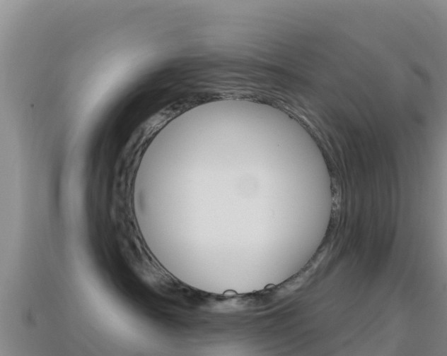 X0000114630430200910201026