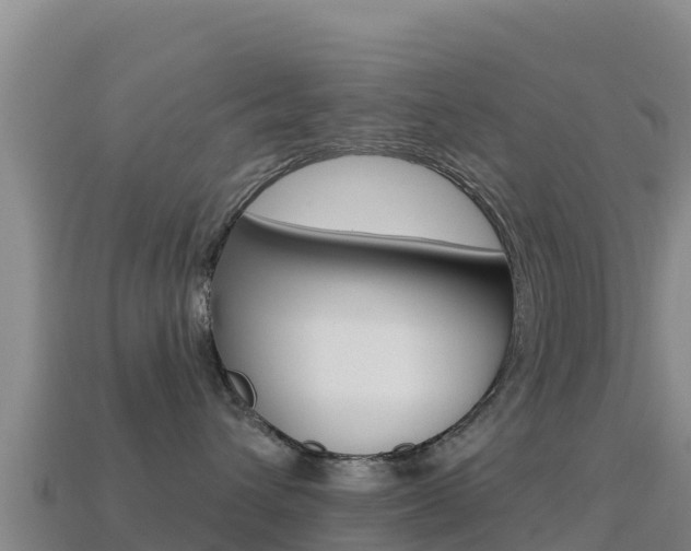 X0000114630432200910201026