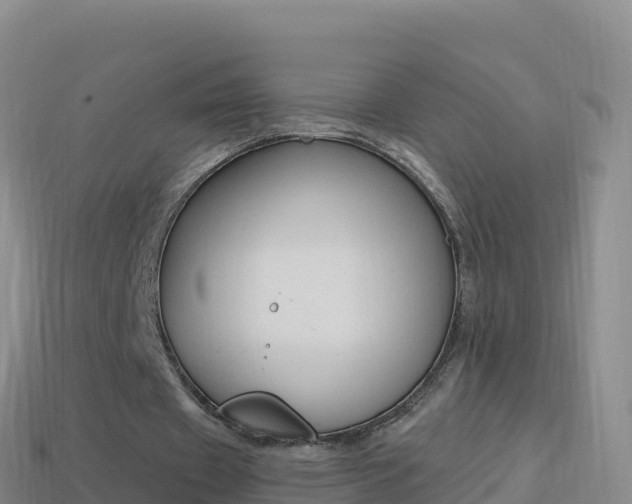 X0000114630433200910201025