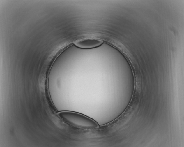 X0000114630434200910201025