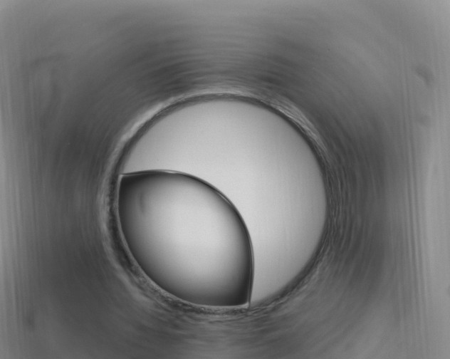 X0000114630436200910201025