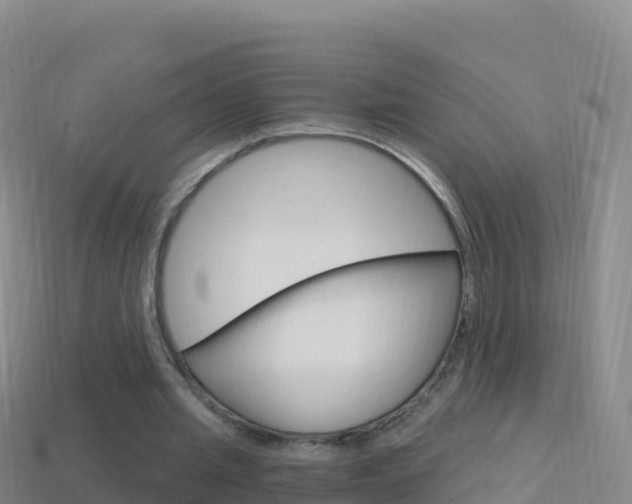 X0000114630437200910201025