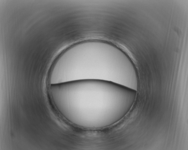 X0000114630439200910201025