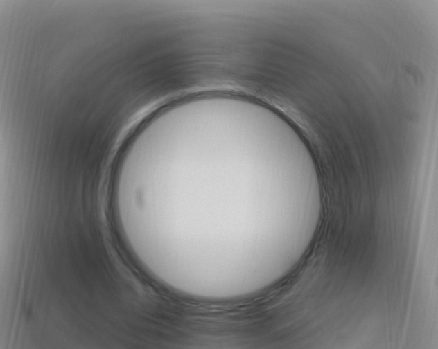 X0000114630440200910201025