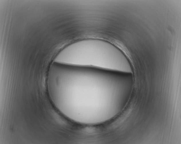X0000114630441200910201025