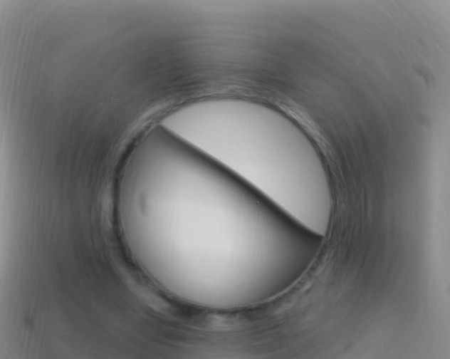 X0000114630442200910201025