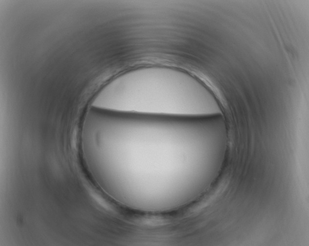 X0000114630445200910201025