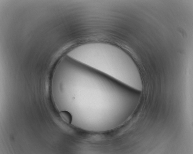 X0000114630446200910201025