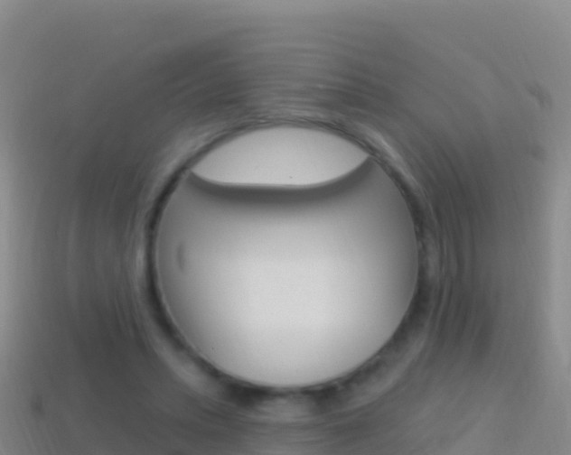 X0000114630447200910201025