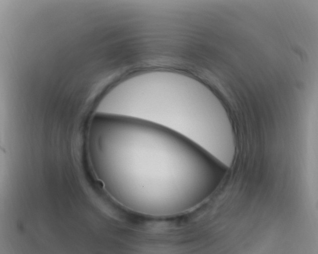 X0000114630448200910201025