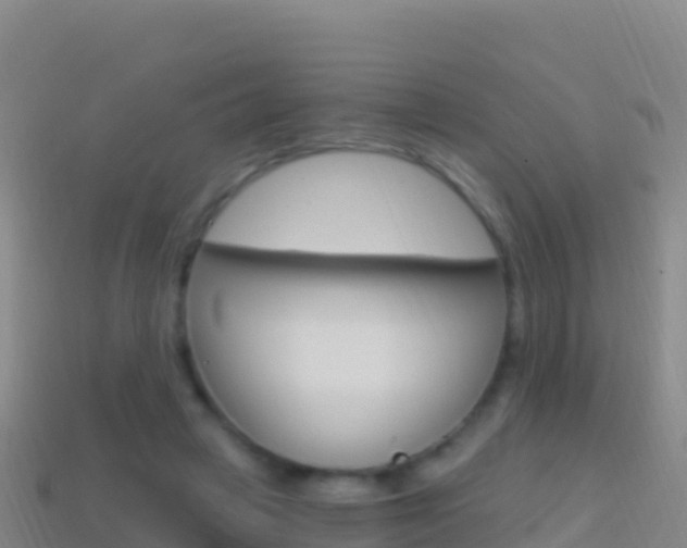 X0000114630449200910201025