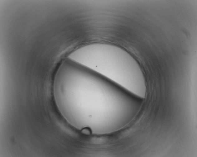 X0000114630450200910201025