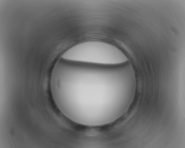 X0000114630451200910201025