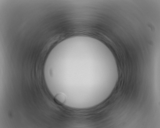 X0000114630452200910201025