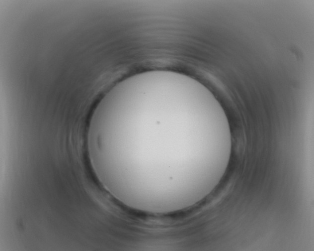 X0000114630455200910201025
