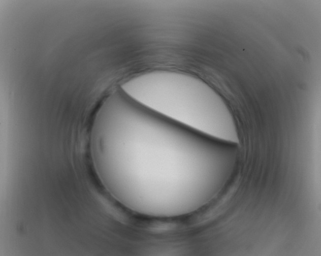X0000114630458200910201025
