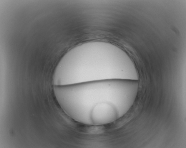 X0000114630465200910201026