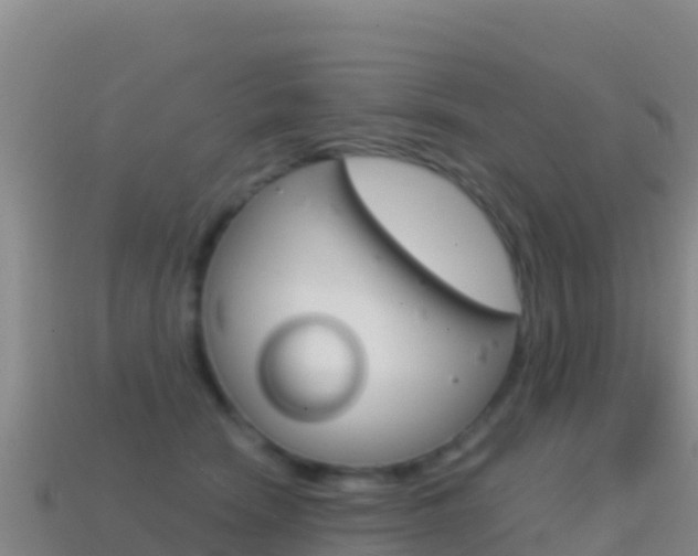 X0000114630466200910201026