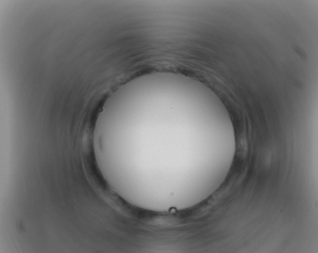 X0000114630468200910201026