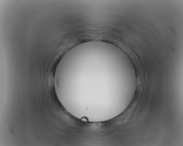 X0000114630474200910201026