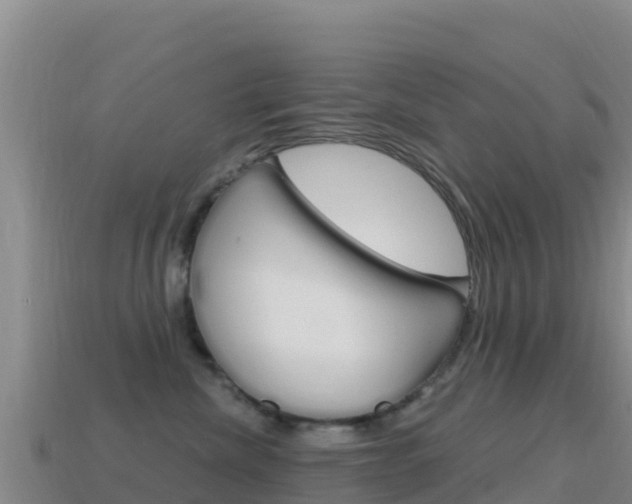 X0000114630476200910201026