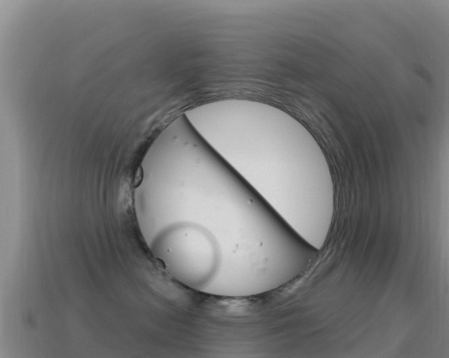 X0000114630478200910201026