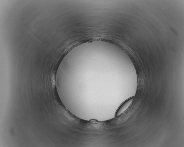 X0000114630479200910201026