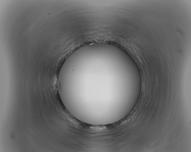 X0000114630480200910201026