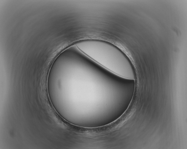 X0000114630481200910201025