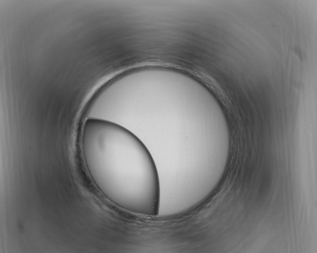 X0000114630484200910201025