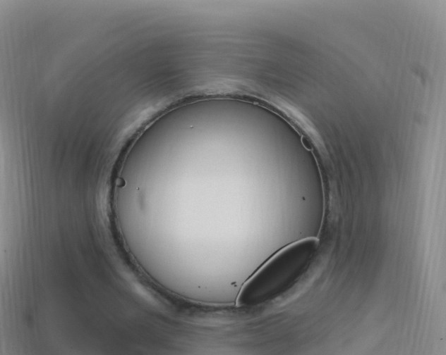 X0000114630485200910201025