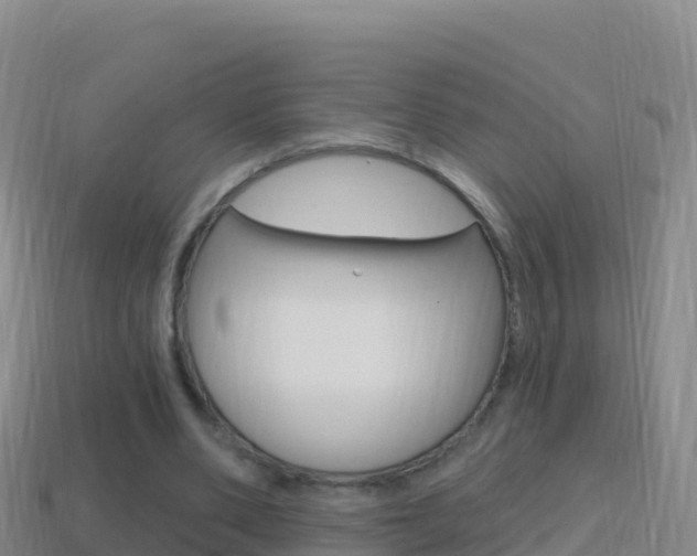 X0000114630486200910201025