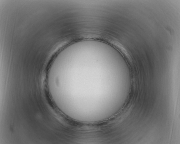 X0000114630490200910201025