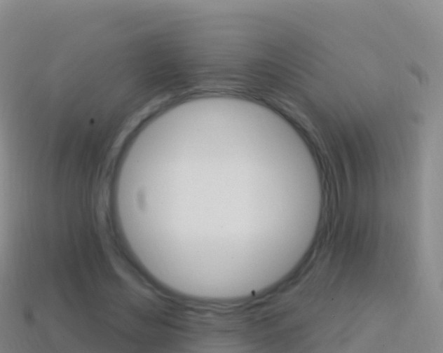 X0000114630492200910201025