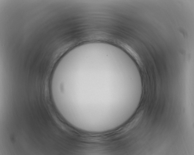 X0000114630493200910201025