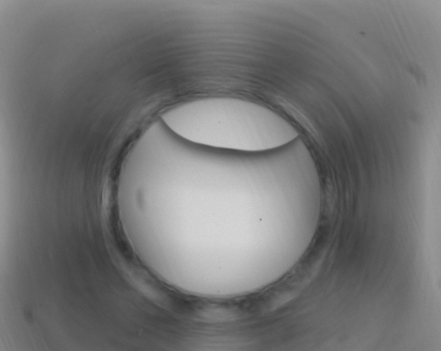 X0000114630494200910201025