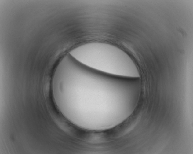 X0000114630495200910201025