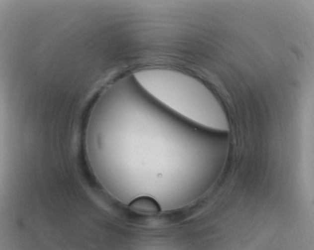 X0000114630496200910201025