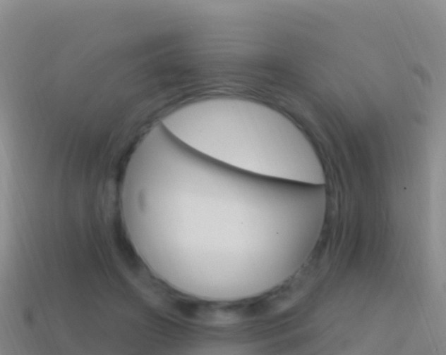 X0000114630498200910201025