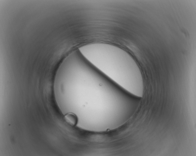 X0000114630499200910201025