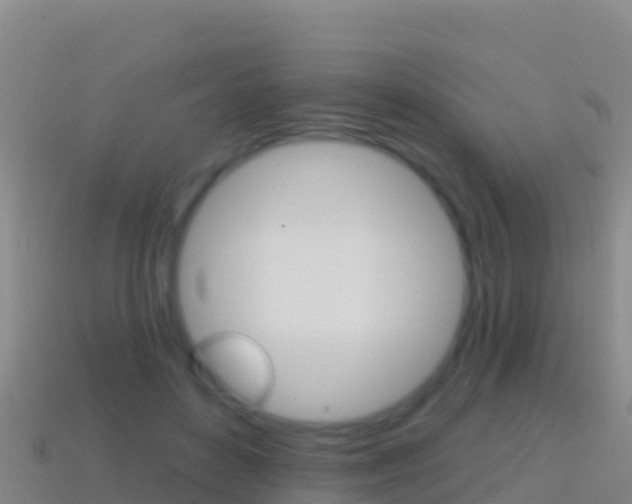 X0000114630504200910201025