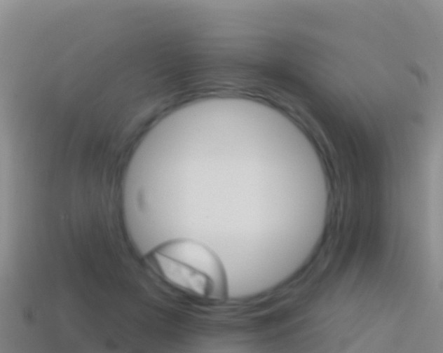 X0000114630505200910201025