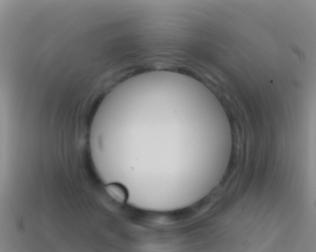 X0000114630507200910201025