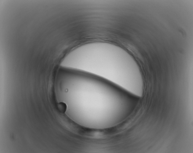 X0000114630509200910201025