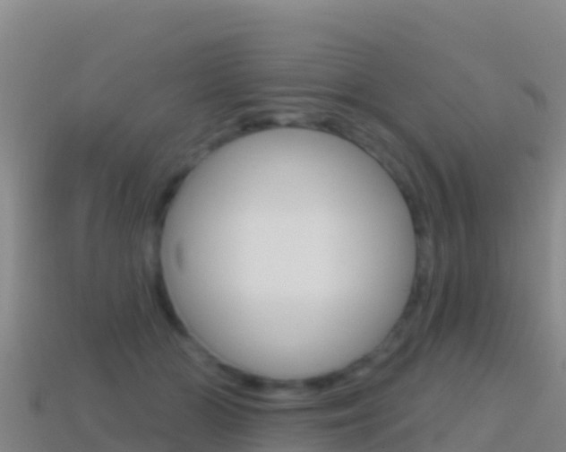 X0000114630510200910201025