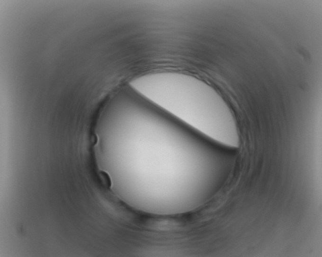 X0000114630512200910201025
