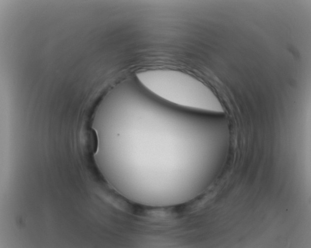 X0000114630516200910201025