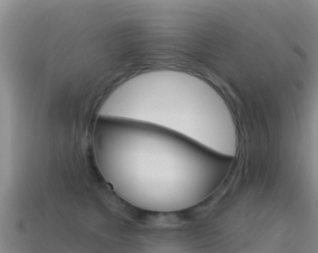 X0000114630517200910201024